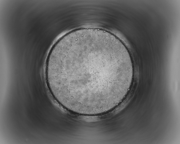 X0000085290856200703091408