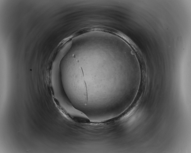 X0000085290857200703091408