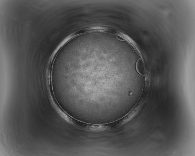 X0000085290859200703091408