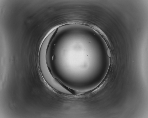 X0000085290860200703091409