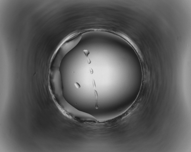 X0000085290861200703091409