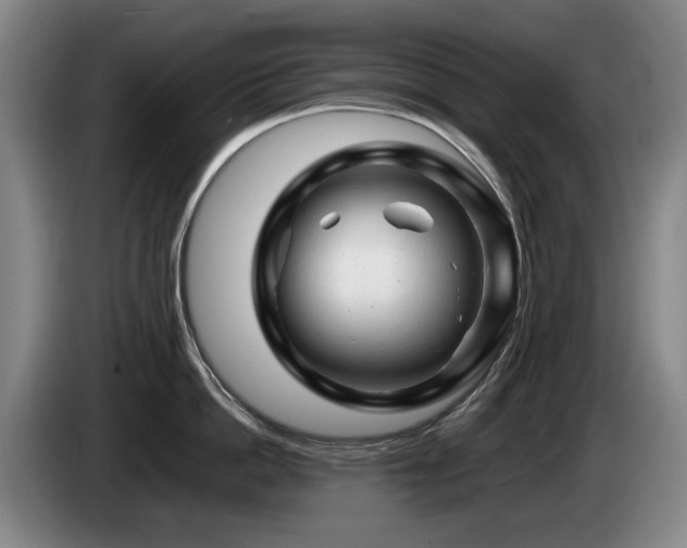 X0000085290862200703091409