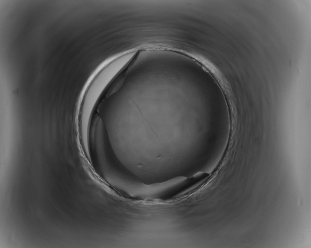X0000085290864200703091409