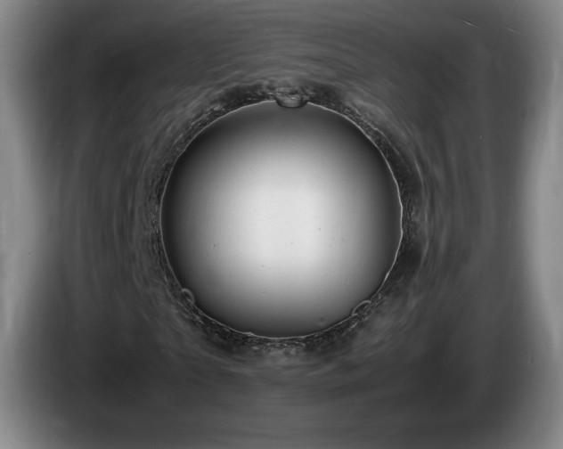 X0000085290865200703091408