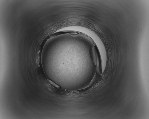 X0000085290868200703091408