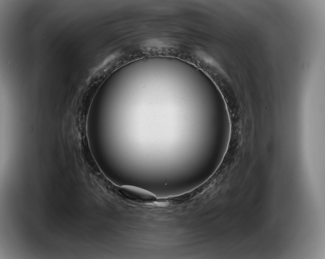 X0000085290870200703091408