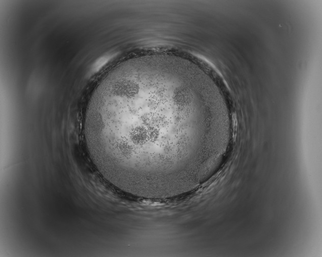 X0000085290871200703091408