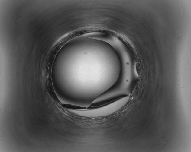 X0000085290872200703091408
