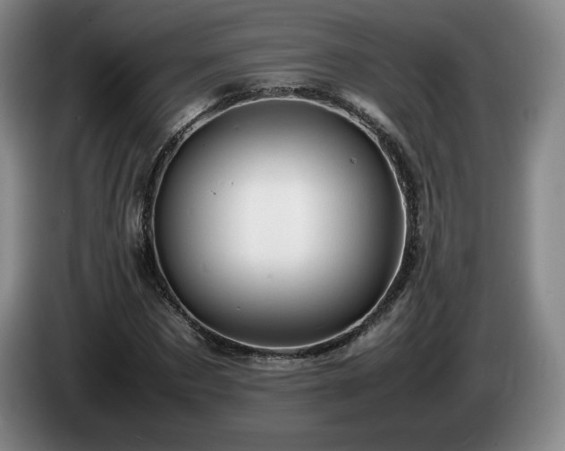 X0000085290873200703091408