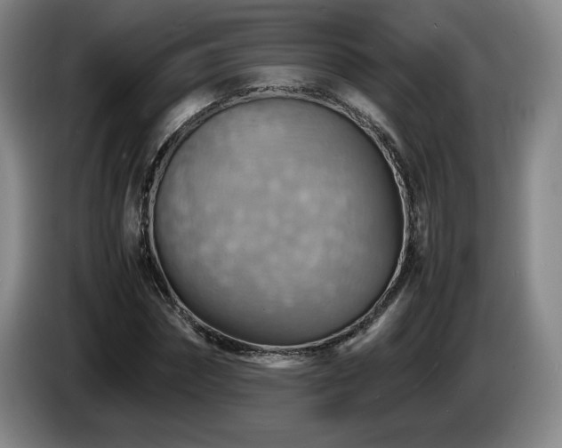X0000085290874200703091408