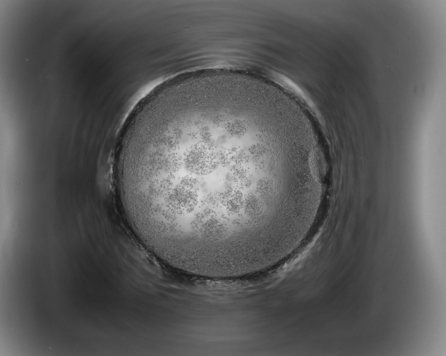 X0000085290875200703091408