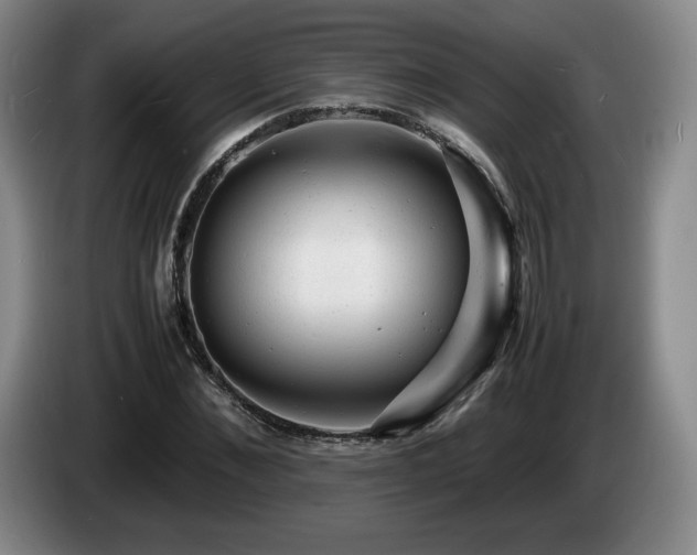 X0000085290876200703091408