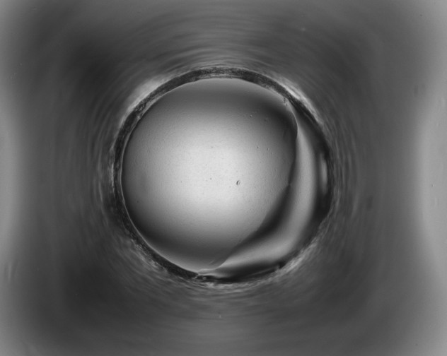 X0000085290877200703091408