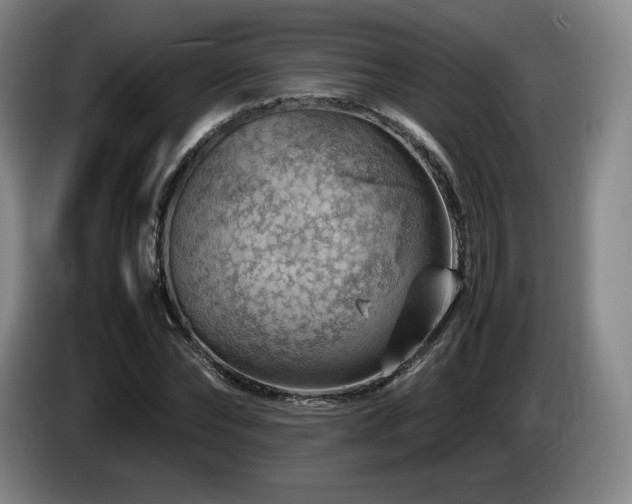 X0000085290878200703091408