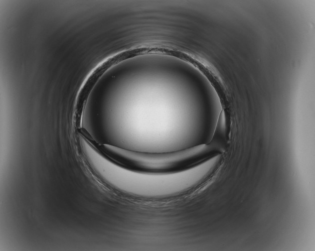 X0000085290880200703091408