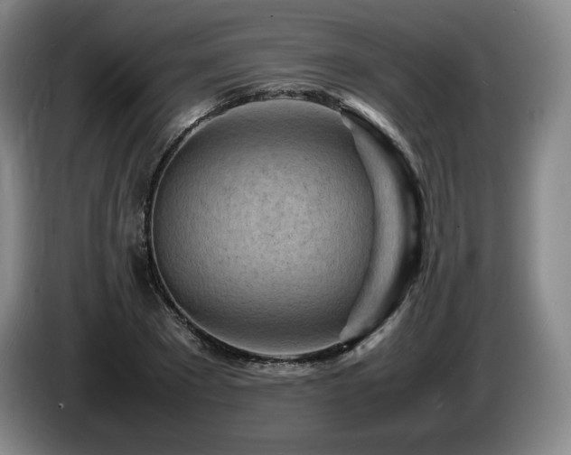 X0000085290881200703091408