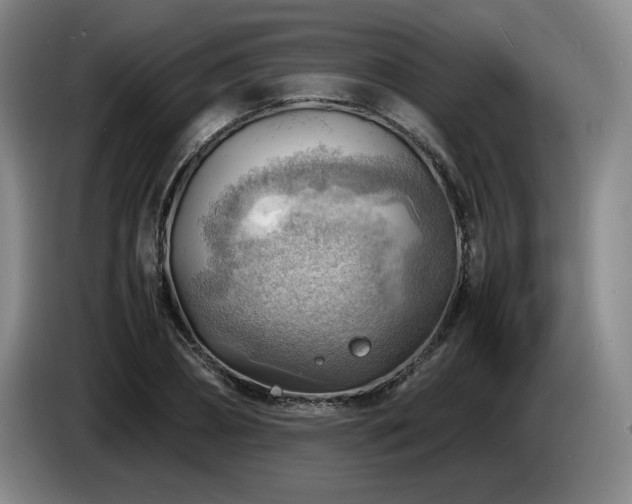 X0000085290882200703091408