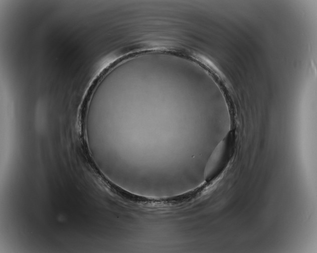 X0000085290883200703091408