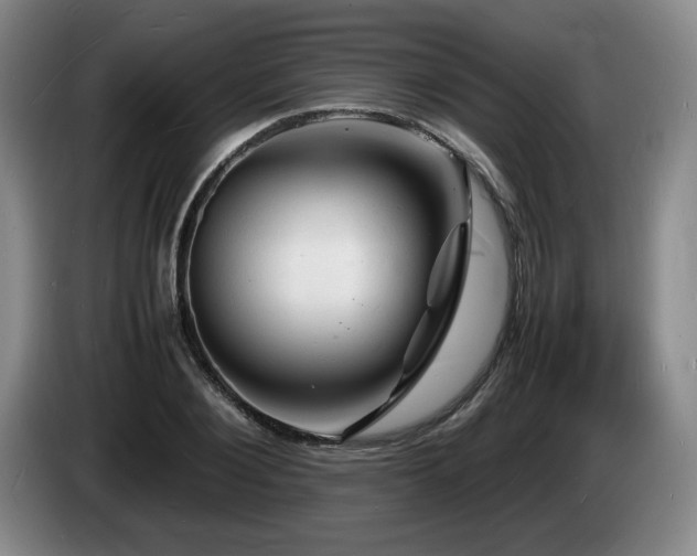 X0000085290884200703091408