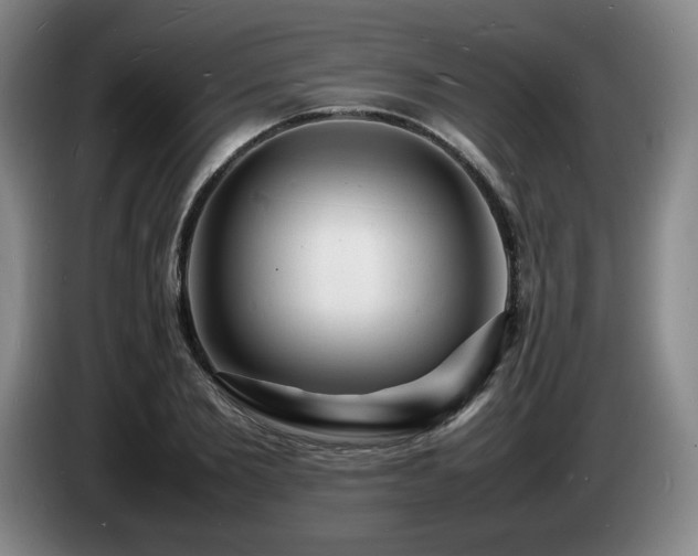 X0000085290885200703091408