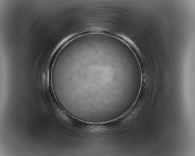 X0000085290886200703091408
