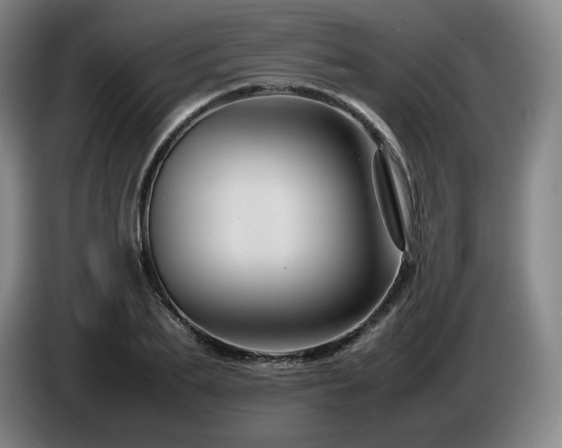 X0000085290887200703091408