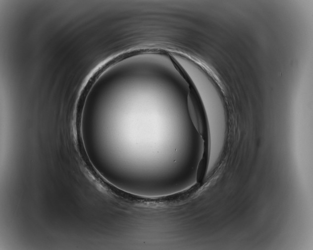 X0000085290888200703091408