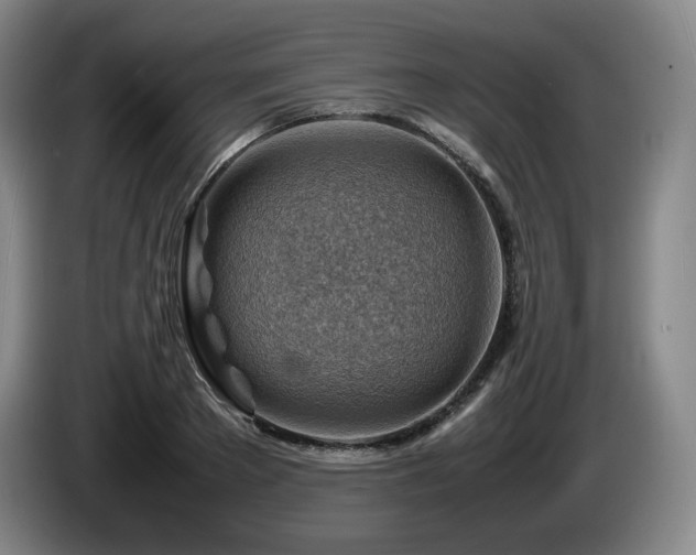 X0000085290889200703091408