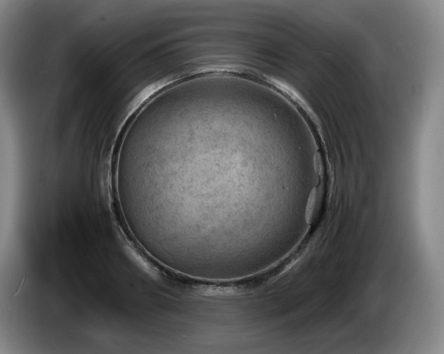 X0000085290890200703091408