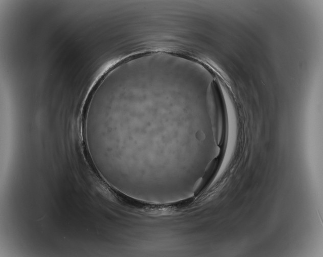 X0000085290891200703091408