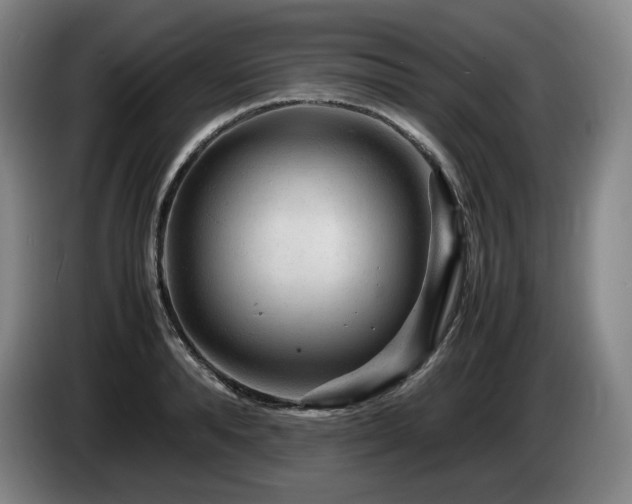 X0000085290896200703091407