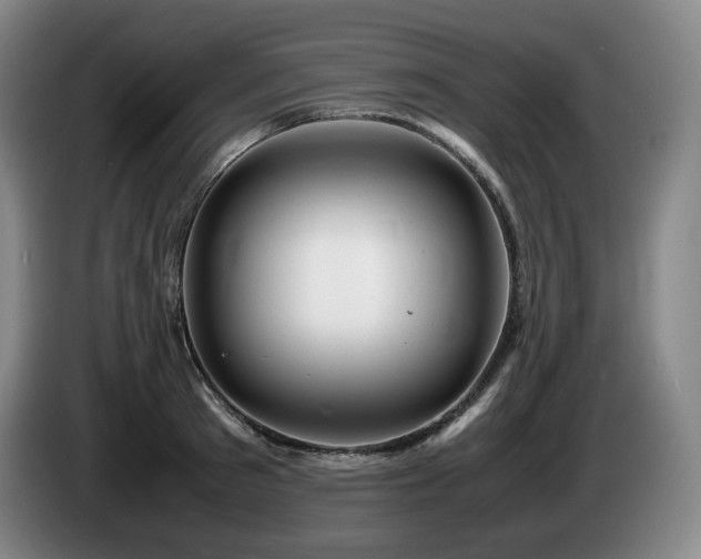 X0000085290897200703091407