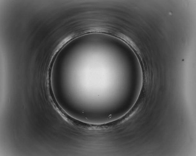 X0000085290898200703091407