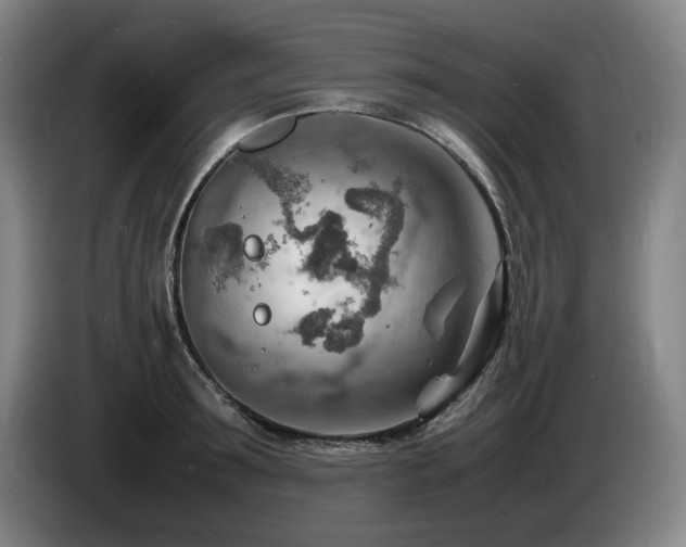 X0000085290899200703091407