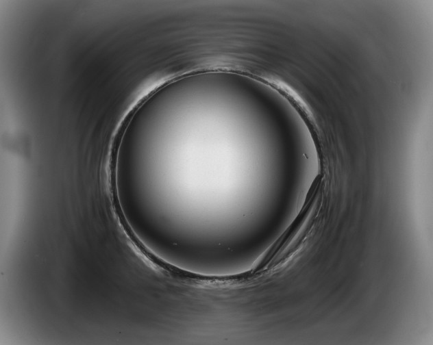 X0000085290902200703091407