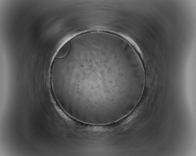 X0000085290903200703091407