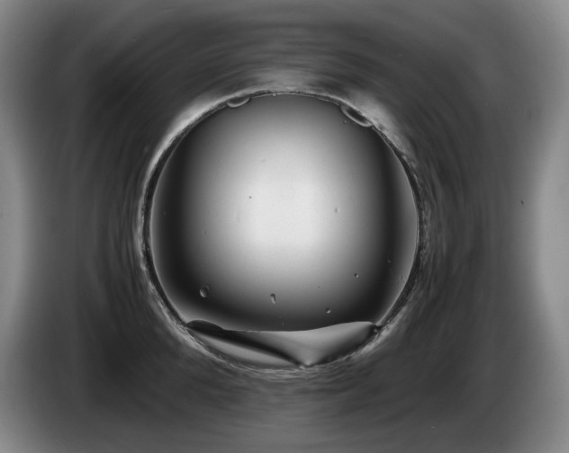 X0000085290904200703091407
