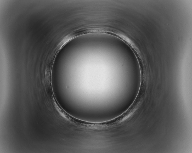 X0000085290905200703091407