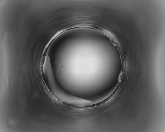 X0000085290908200703091407
