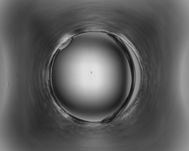 X0000085290909200703091407