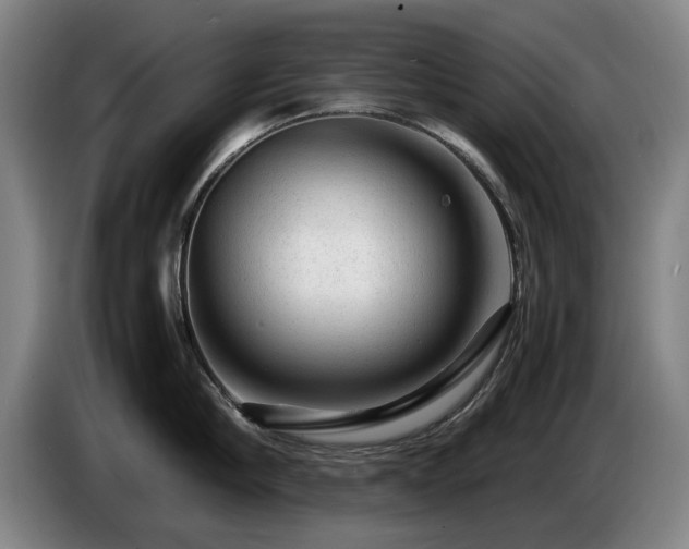X0000085290910200703091407