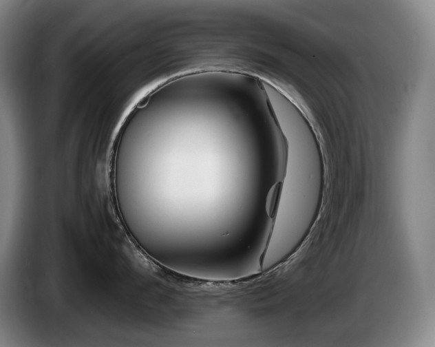 X0000085290912200703091407