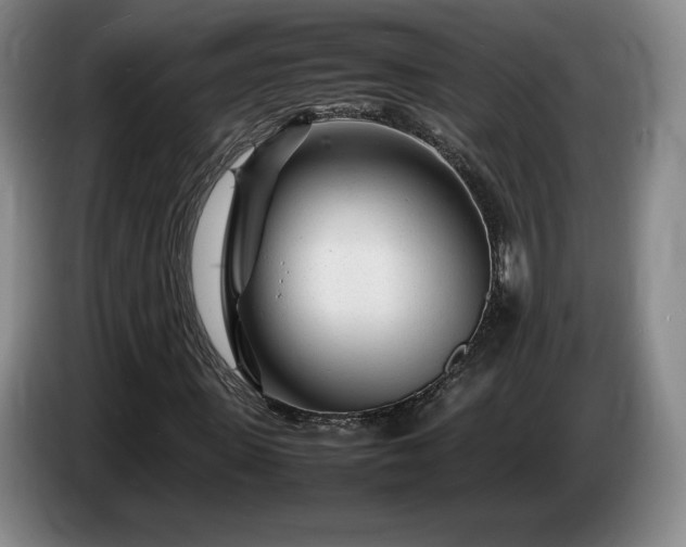 X0000085290915200703091407