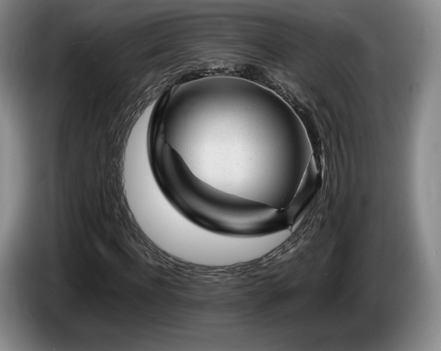 X0000085290916200703091407