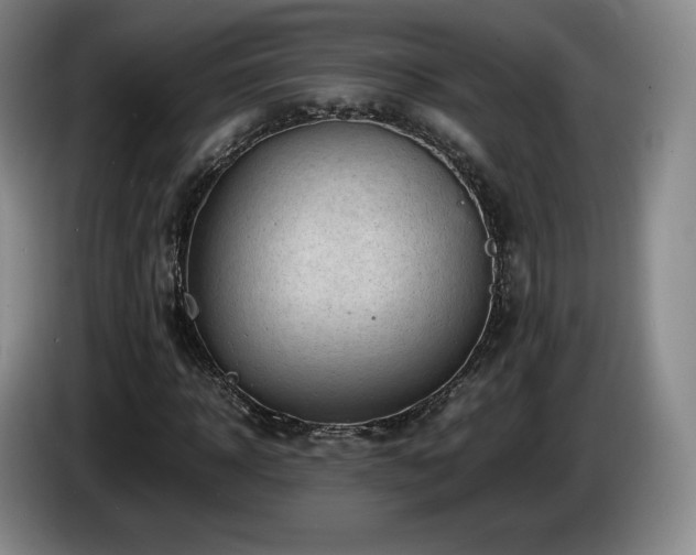X0000085290918200703091407