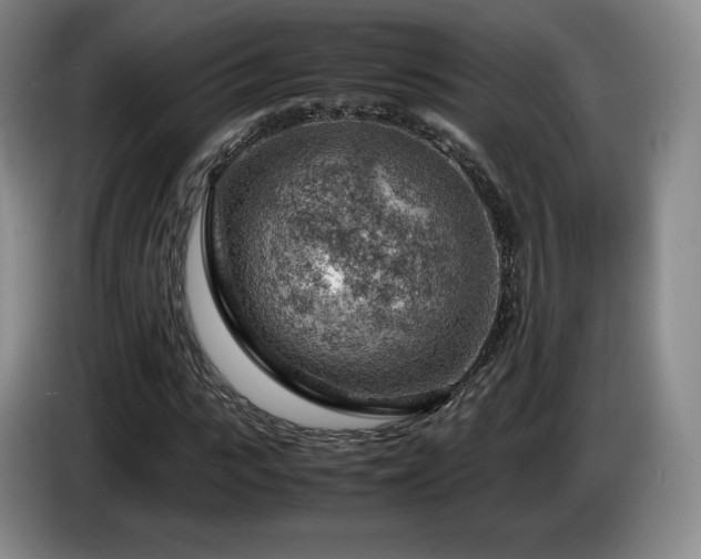 X0000085290919200703091407