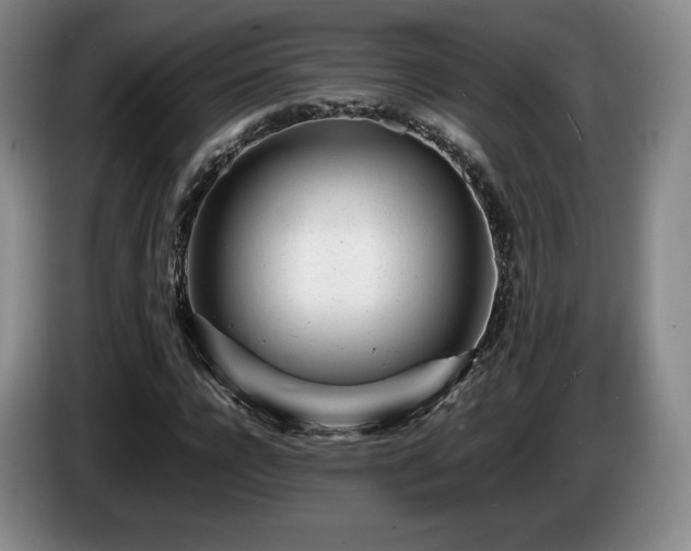 X0000085290920200703091407