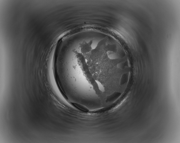 X0000085290921200703091407
