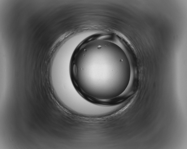 X0000085290922200703091407