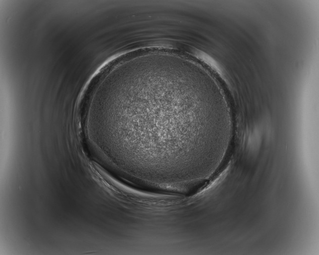 X0000085290923200703091407